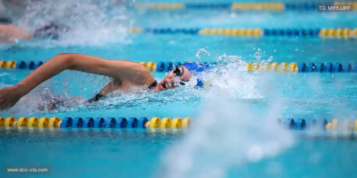🏀激情赛场，见证冠军诞生时刻！